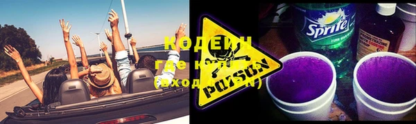 прущий лед Дмитриев