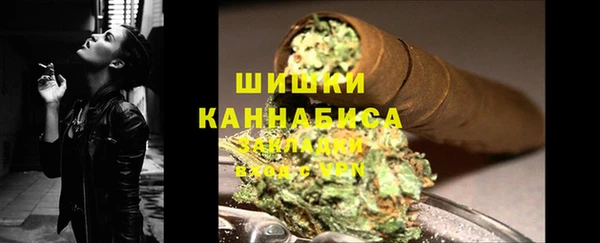прущий лед Дмитриев