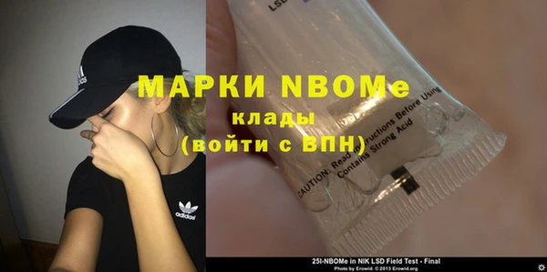 прущий лед Дмитриев