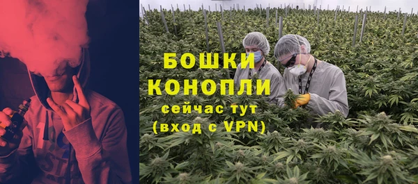 прущий лед Дмитриев