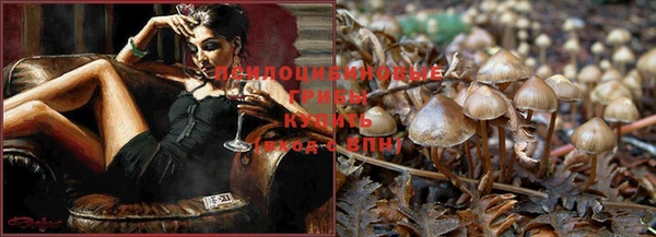 кокаин VHQ Дмитров