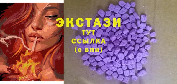 прущий лед Дмитриев